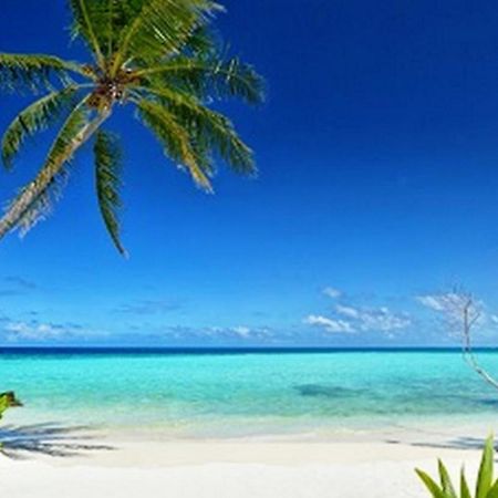 Whiteshell Island Hotel & Spa Maafushi Dış mekan fotoğraf