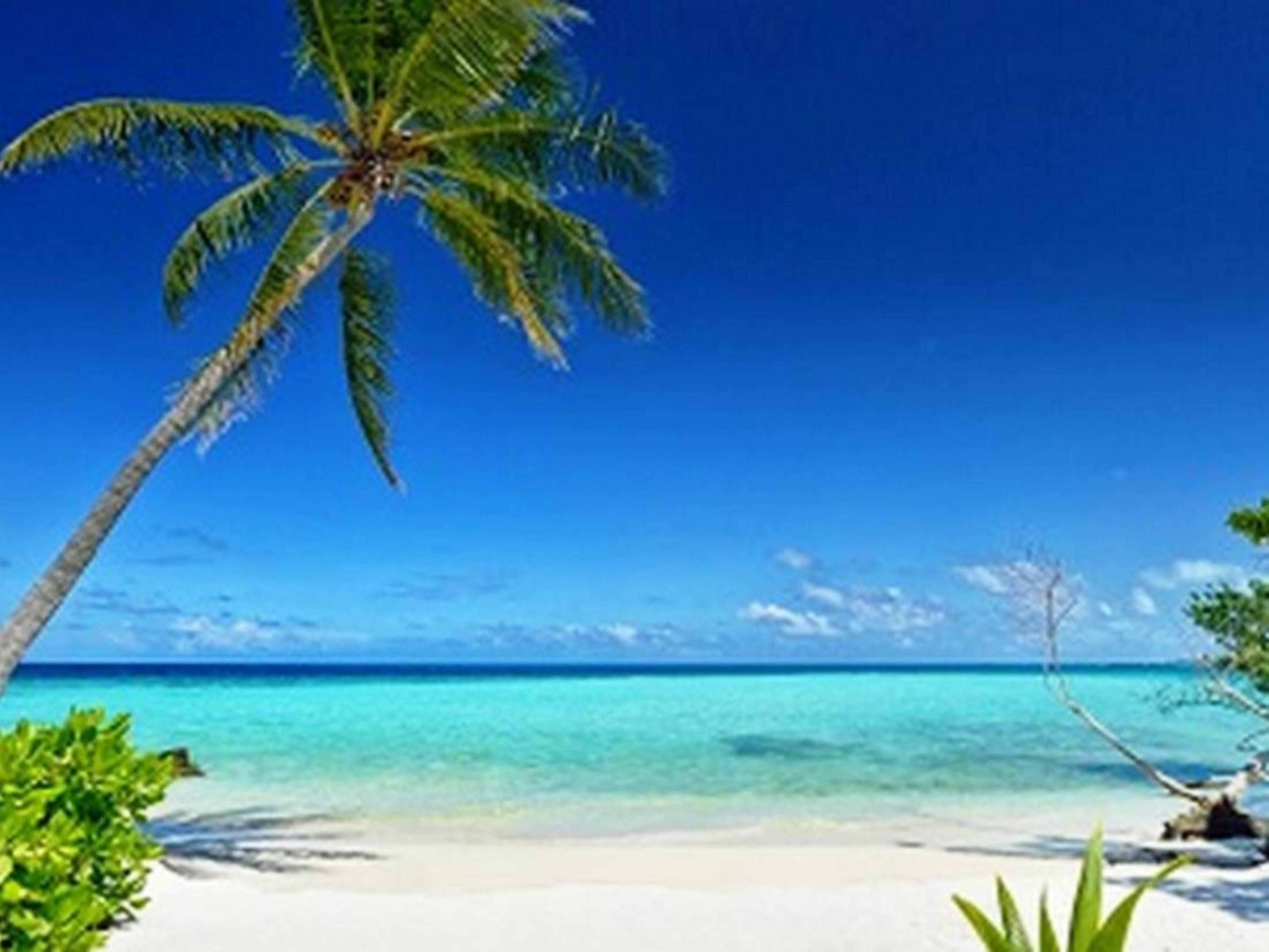 Whiteshell Island Hotel & Spa Maafushi Dış mekan fotoğraf