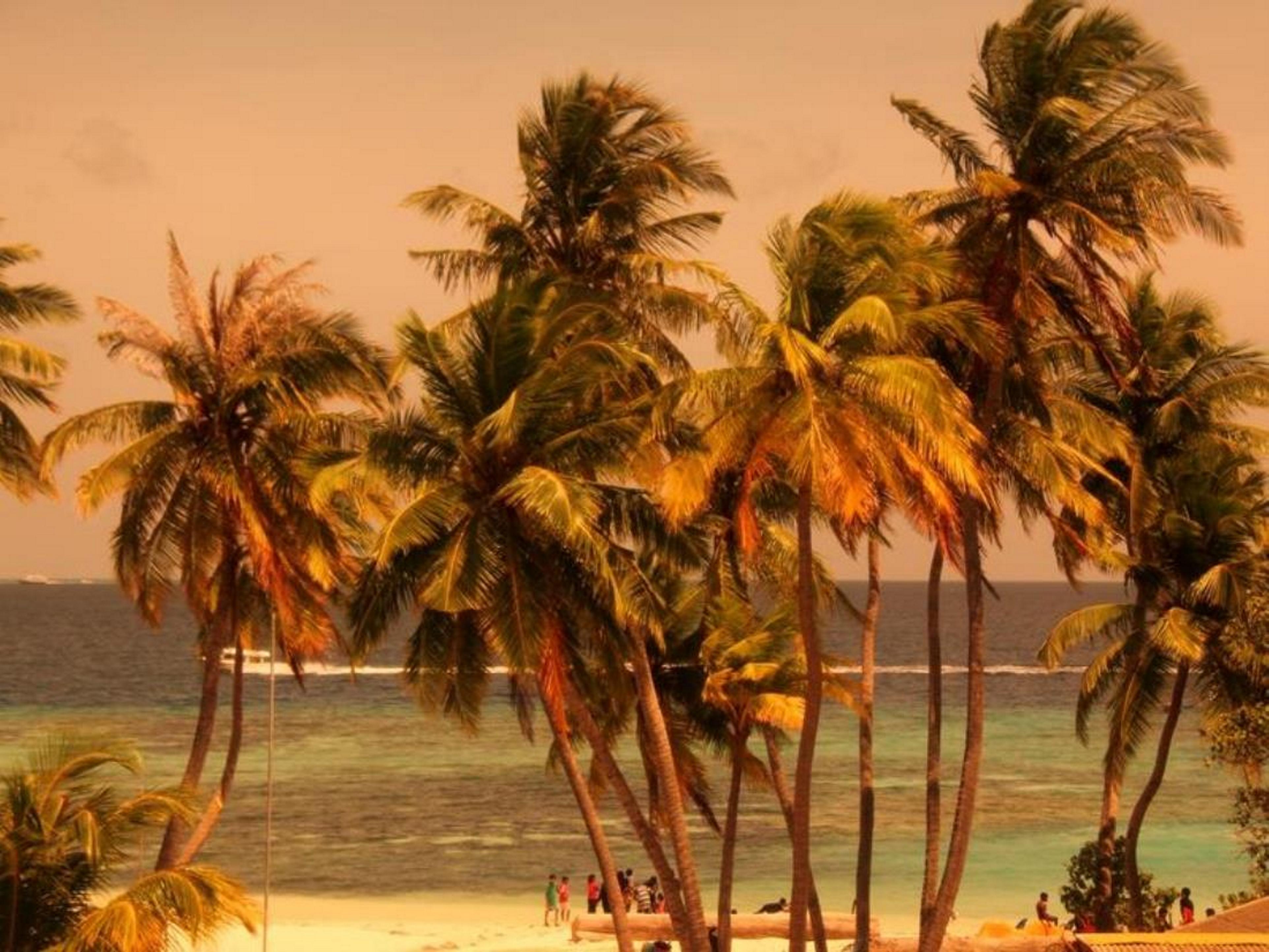 Whiteshell Island Hotel & Spa Maafushi Dış mekan fotoğraf